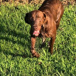 Meet your Posher, Grace